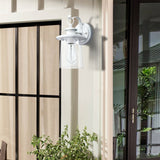Revtronic 1-Light Outdoor Wall Lantern, Matte White