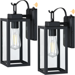 Revtronic 1- Light Outdoor Wall Light with Dusk to Dawn