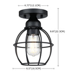 1-Light Ceiling Light Fixture, Matte Black
