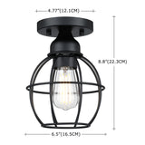 1-Light Ceiling Light Fixture, Matte Black
