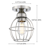 1-Light Ceiling Light Fixture, Brushed Nickel
