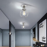 1-Light Ceiling Light Fixture, Brushed Nickel