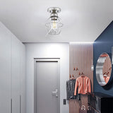 1-Light Ceiling Light Fixture, Brushed Nickel