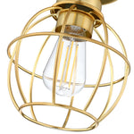 1-Light Ceiling Light Fixture, Soft Gold