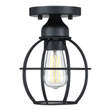1-Light Ceiling Light Fixture, Matte Black