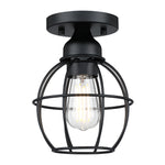 1-Light Ceiling Light Fixture, Matte Black