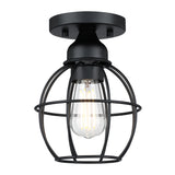 1-Light Ceiling Light Fixture, Matte Black