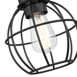 1-Light Ceiling Light Fixture, Matte Black