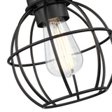 1-Light Ceiling Light Fixture, Matte Black