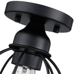 1-Light Ceiling Light Fixture, Matte Black