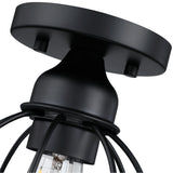 1-Light Ceiling Light Fixture, Matte Black