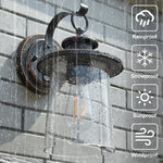 Revtronic 1-Light Outdoor Wall Lantern, Matte Black