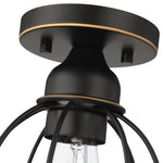 1-Light Ceiling Light Fixture, Oil Rubbed Bronze
