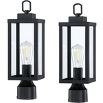 16.5 in. Matte Black 1-Light Exterior Lamp Post Lantern - 2 Pack